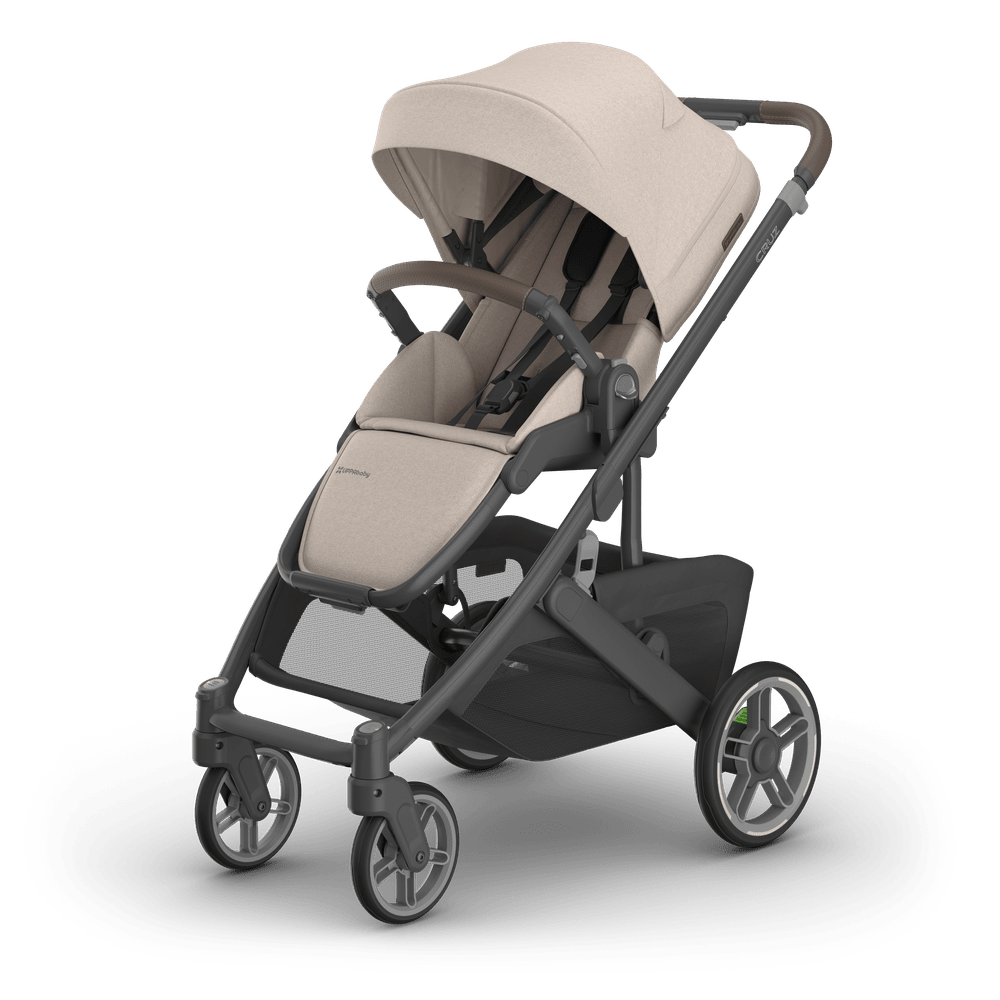 Cruz hero image for Ada landing page