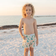 Emerson And Friends Explore Florida Boys Swim Trunks Beige/Multi