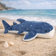 Mon Ami Under the Sea Echo The Whale