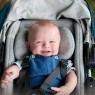 UPPAbaby Infant Snugseat
