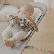 UPPAbaby Mira 2-In-1 Bouncer And Seat
