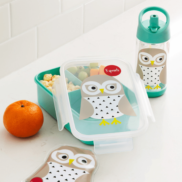 3 Sprouts bento box lunch set with teal container and owl motif lid, plus matching bottle