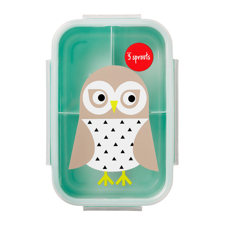 3 Sprouts bento box with teal lid featuring an owl print