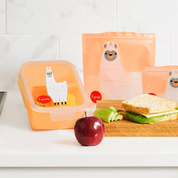 3 Sprouts Bento Box