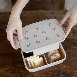3 Sprouts Recycled Plastic Bento Box
