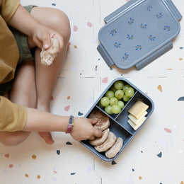 3 Sprouts Recycled Plastic Bento Box