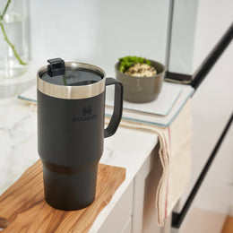 Stanley The Everyday Suburban Mug 16oz