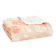 Aden+Anais Silky Soft Dream Blanket