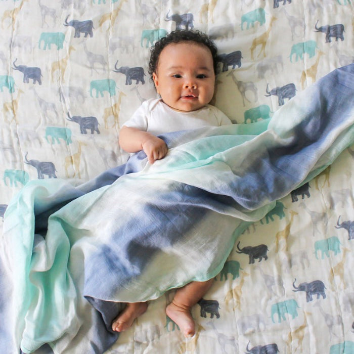 Aden+Anais Silky Soft Dream Blanket Expedition Elephants Giraffes