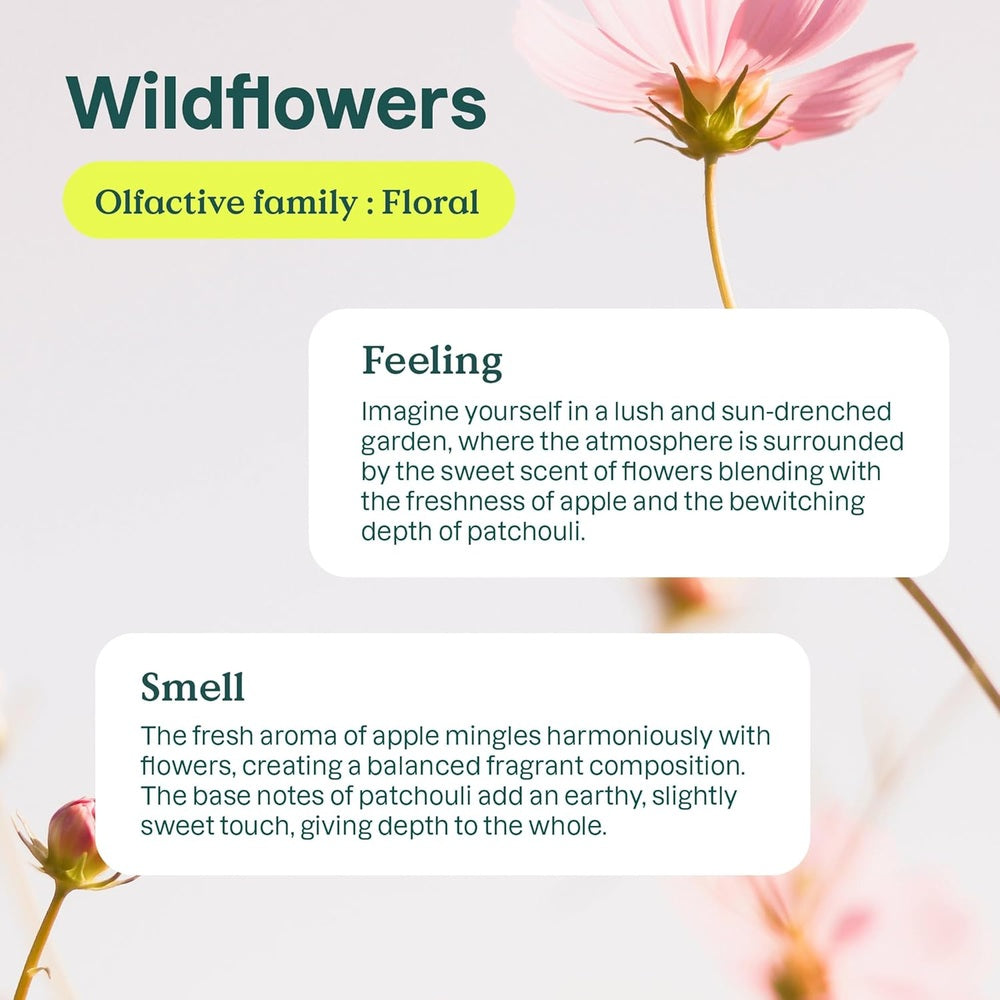 Attitude Liquid Laundry Detergent Wildflower 2L