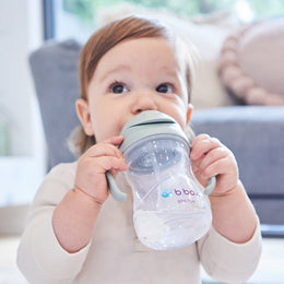 B.Box Sippy Straw Cup 240ml