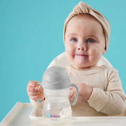 B.Box Sippy Straw Cup 240ml