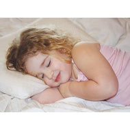 Babyworks Toddler Pillowcase Replacement