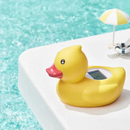 Bc Babycare Baby Bath/Room Thermometer