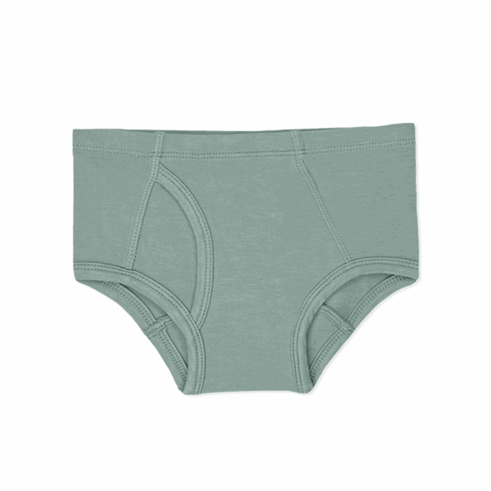 Bellabu Bear Boy's Bamboo Underwear 7 Pack