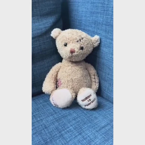 Bukowski Bears Nobody is Perfect stuffed bear sitting on a blue couch, beige plush with paw embroidery.