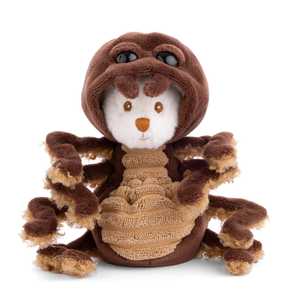 Bukowski Bears Ziggy Spider