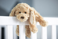 Bukowski Bears Buddy Dog