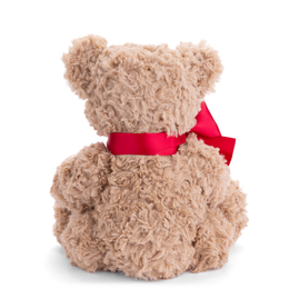 Bukowski Bears Christian Bear