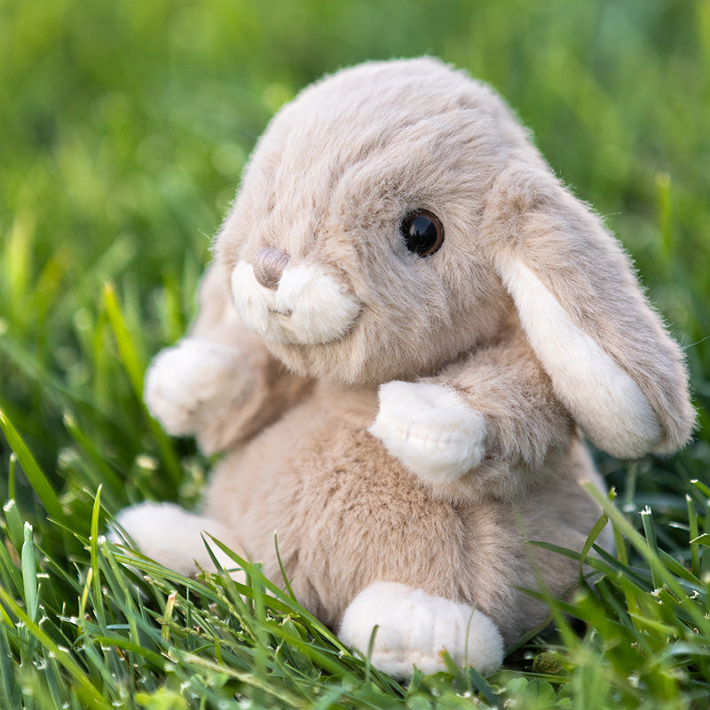Bukowski Bears Kanini Taupe Bunny alternate product view 4