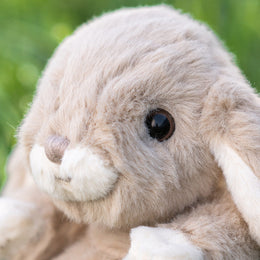 Bukowski Bears Kanini Taupe Bunny