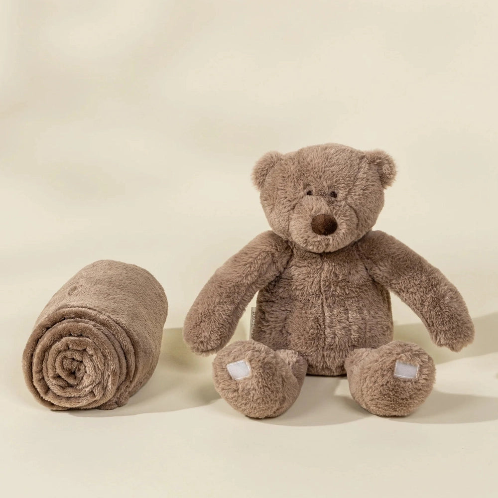 Bear Plush Toy Snuggling Blanket