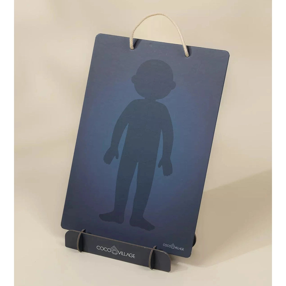 Magnetic Interactive Board – My Body