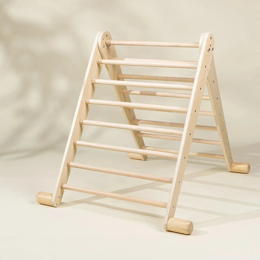 Montessori 2-in-1 Triangle & Wall Climber