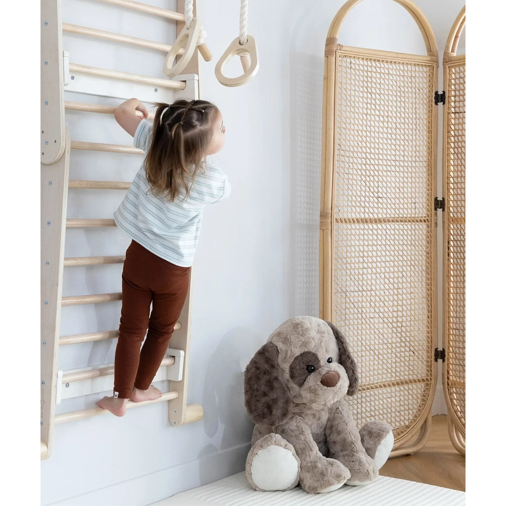 Montessori 2-in-1 Triangle & Wall Climber