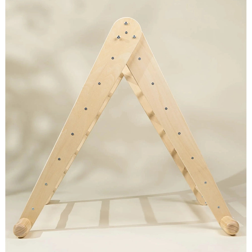 Montessori 2-in-1 Triangle & Wall Climber
