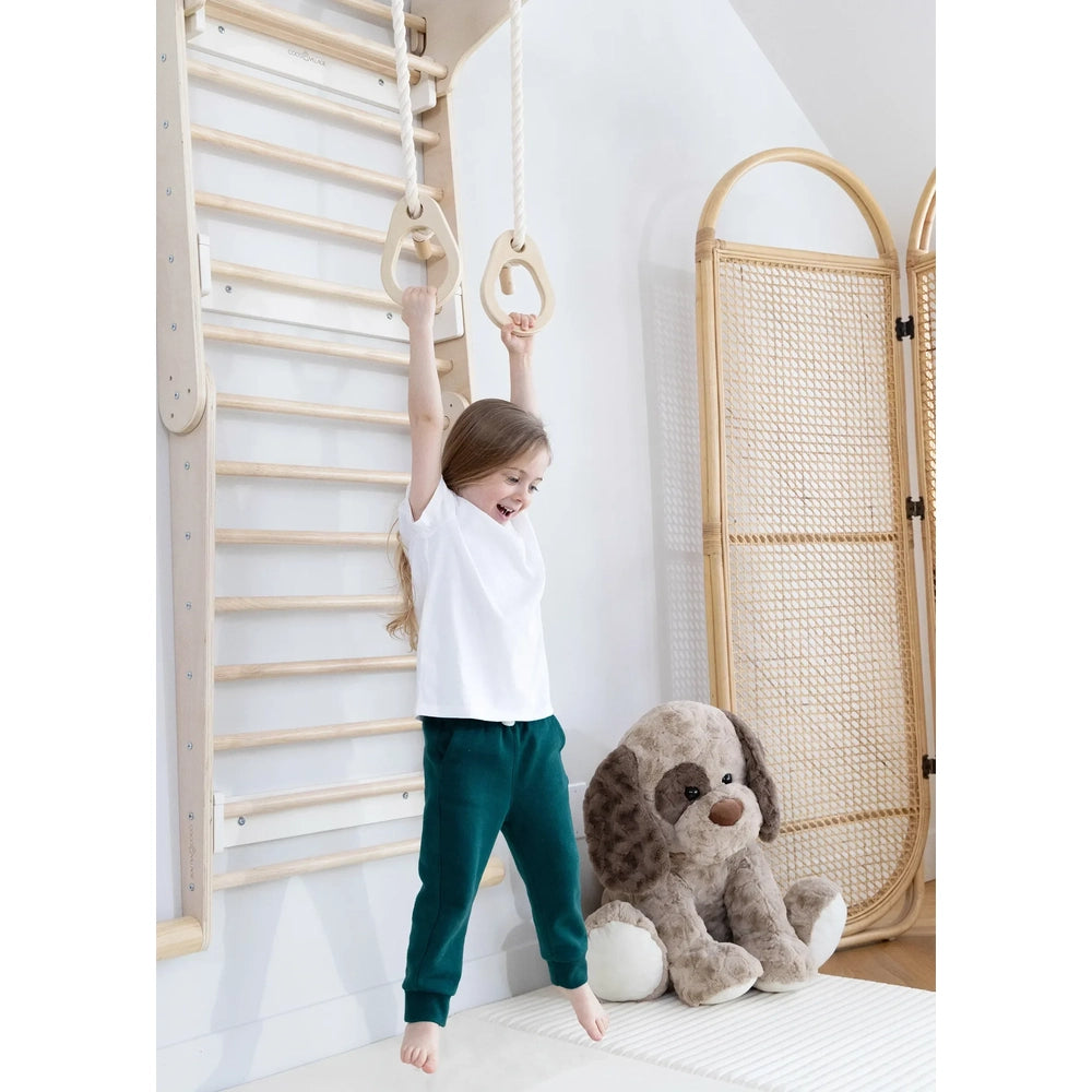 Coco Village Montessori 2-in-1 Triangle & Wall Climber