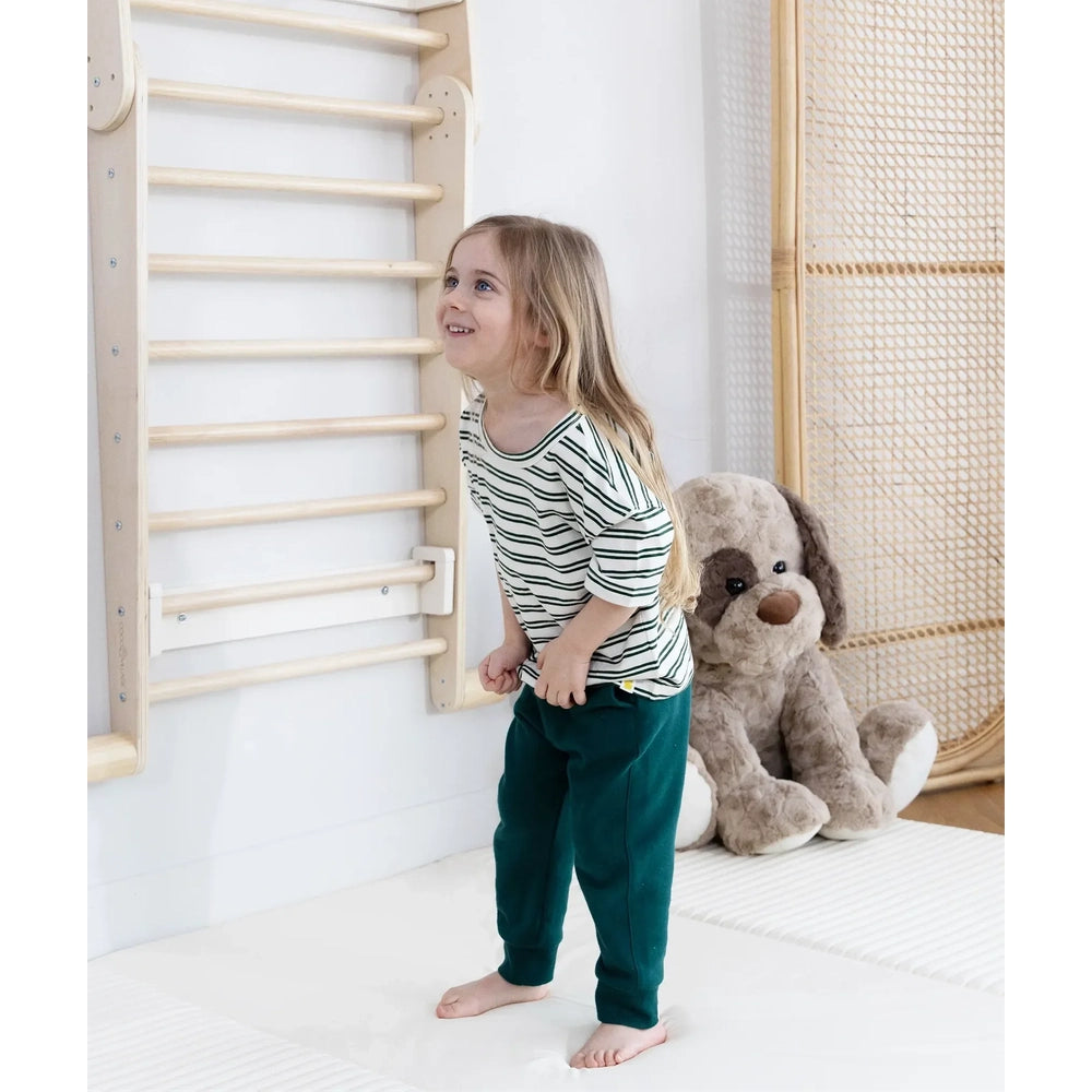 Montessori 2-in-1 Triangle & Wall Climber