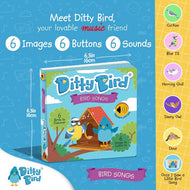 Ditty Bird Sound Book Bird Songs