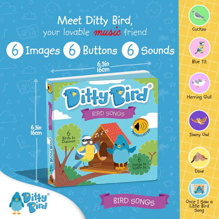Ditty Bird Sound Book Bird Songs