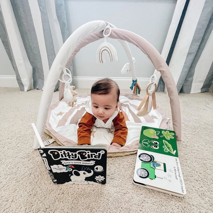 Ditty Bird Sound Book Black and White Animals USB-C Rechargeable