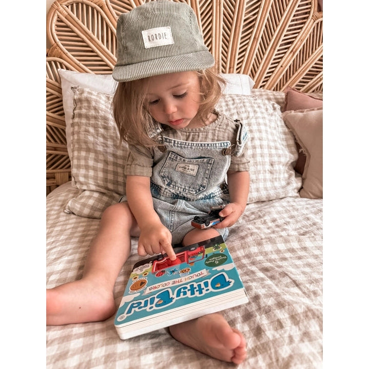 Ditty Bird Sound Book Touch the Colors USB-C Rechargeable