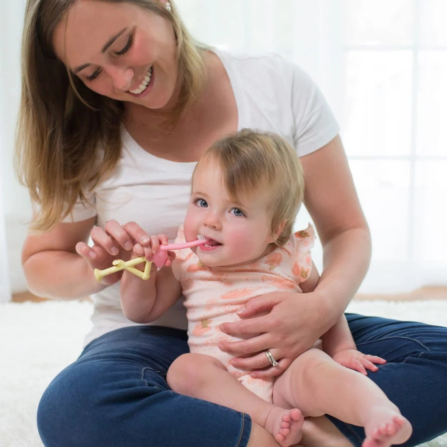 Dr. Brown's Toddler Toothbrush 1-Pack