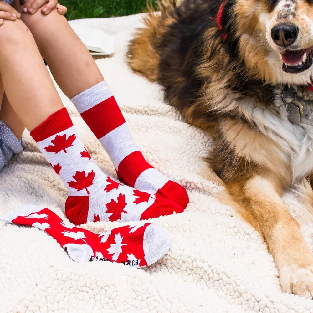 Friday Sock Co. Kid's Grey & Red Maple Leaf Socks on a child sitting on a soft blanket beside a friendly dog