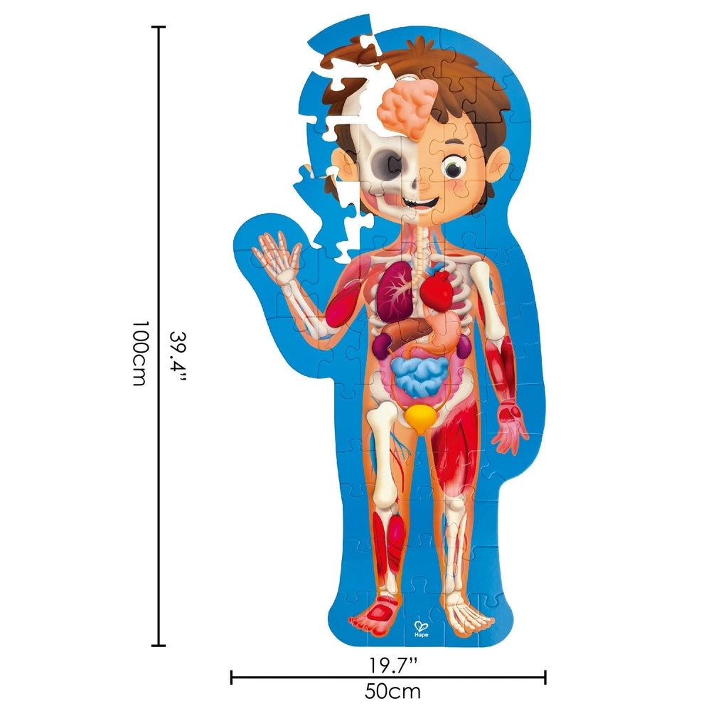 Hape Human Body Puzzle toy; 50 cm tall with illustrated internal organs, educational