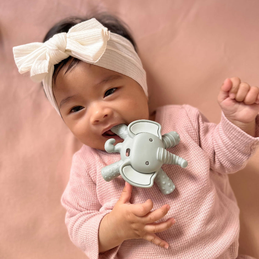 Itzy Ritzy Baby Molar Teether