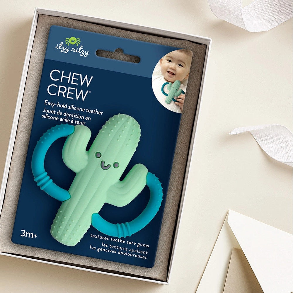 Chew Crew cactus teether by Itzy Ritzy in mint green with teal handles; silicone baby teething toy