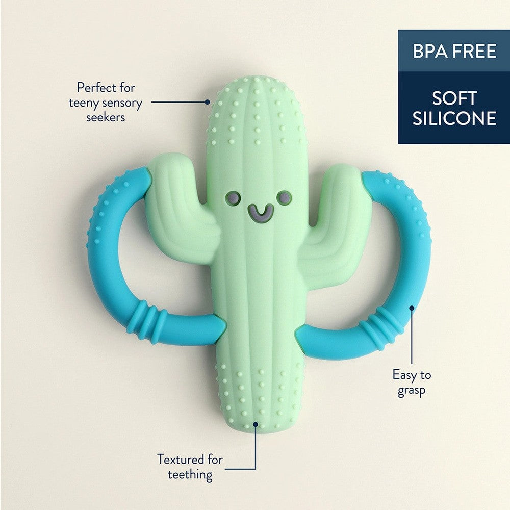 Itzy Ritzy Chew Crew cactus teething toy in mint green with blue handles, soft silicone