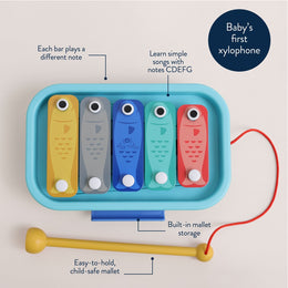 Itzy Ritzy Itzy Music School Xylophone