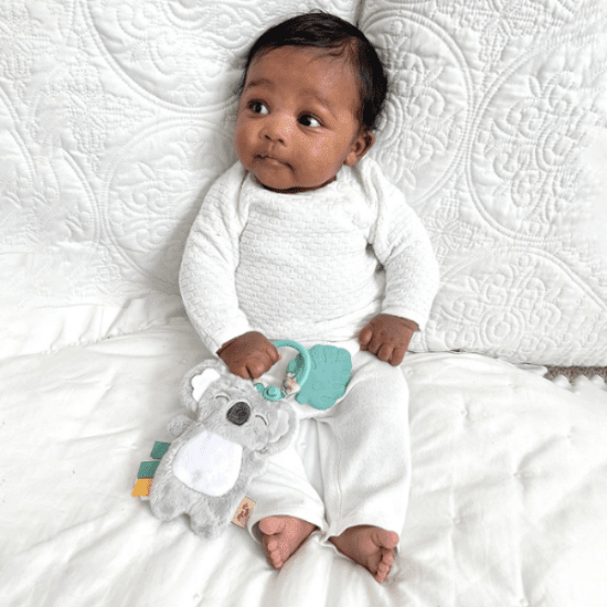Itzy Ritzy Pal plush and teether featuring a gray koala plush and mint teether for babies.