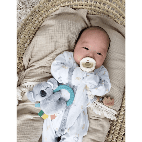 Itzy Ritzy Ritzy Rattle Pal plush rattle with teether and koala toy beside a baby in a white onesie