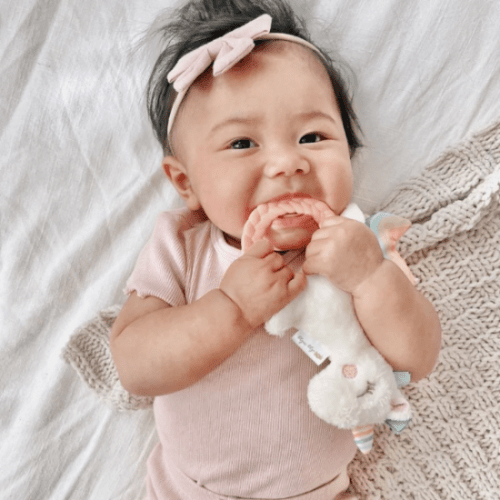 Itzy Ritzy Ritzy Rattle Pal plush rattle with teether in pink for baby