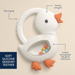 Itzy Ritzy Sweetie Shake Plus Rattle & Teether