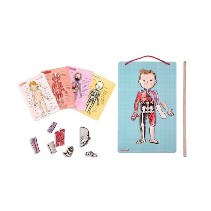Janod Body Magnet educational toy set with 5 anatomy cards and magnetic body parts for kids