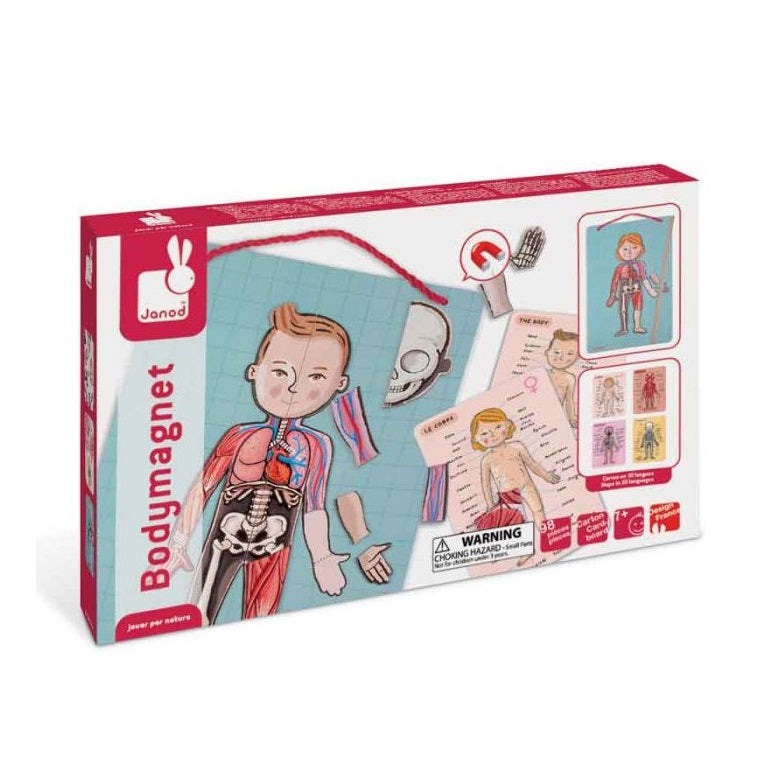 Janod Body Magnet educational toy set with illustrated human anatomy and organ cards