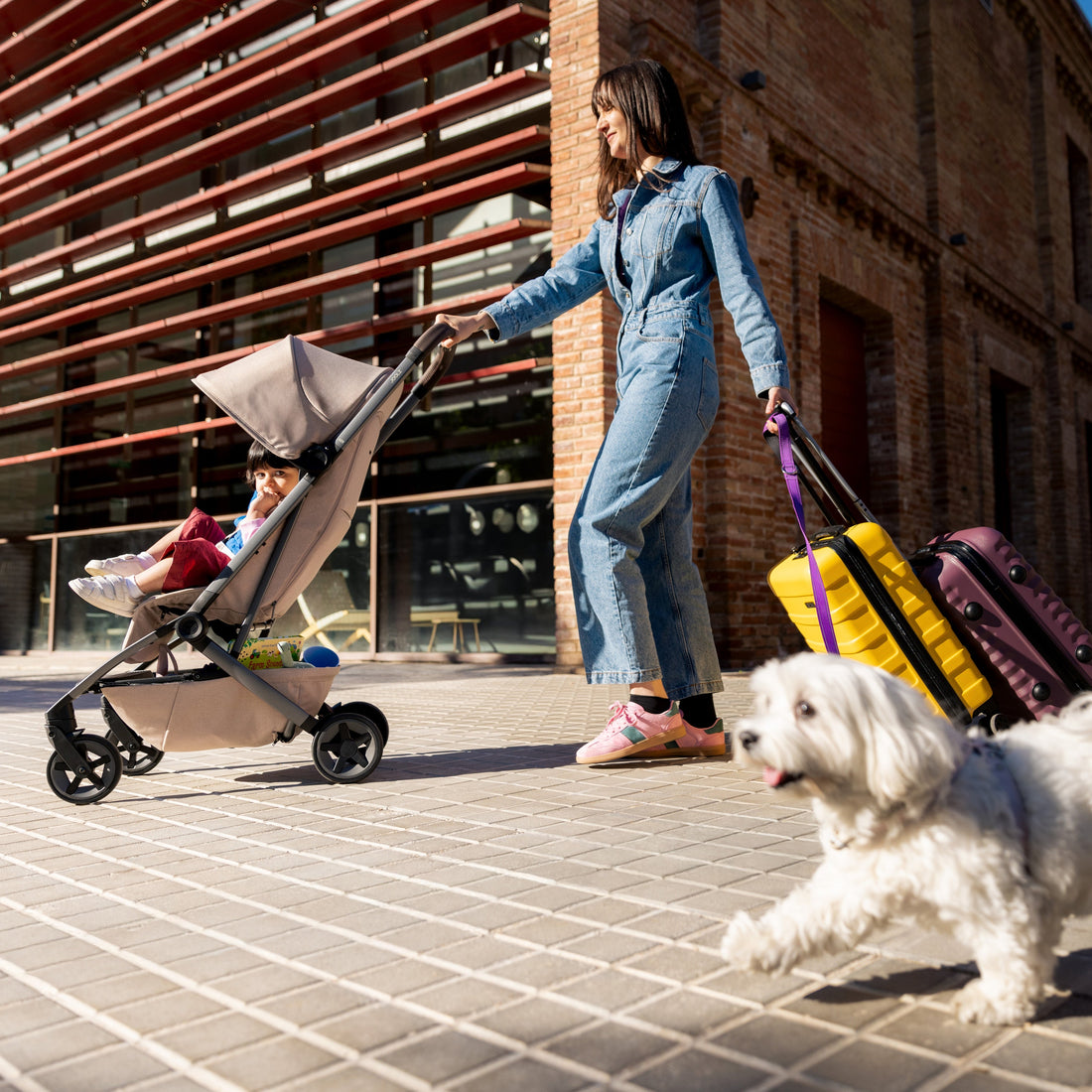 Joolz Aer² Lightweight Stroller - city sidewalk stroller scene with dog